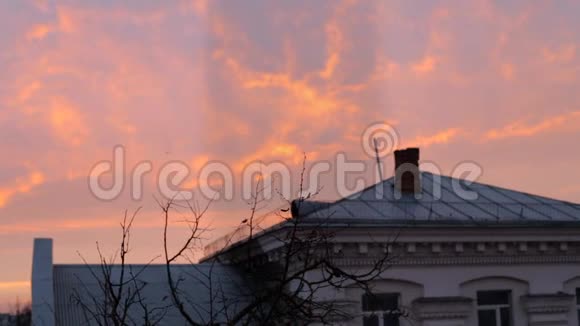 房子的屋顶和粉红色的黎明视频的预览图