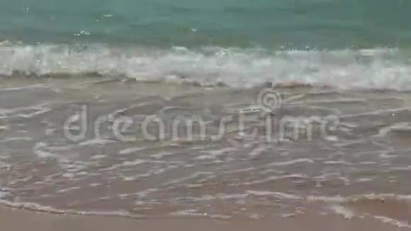 浪在沙滩上奔跑视频的预览图