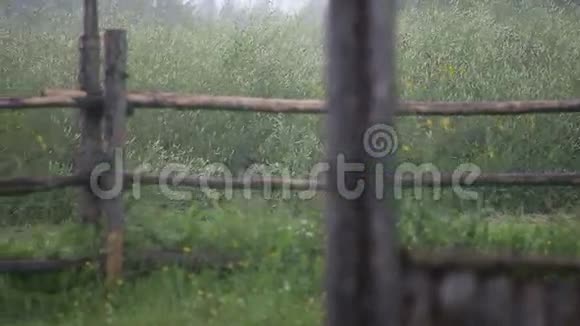 村里的雨视频的预览图