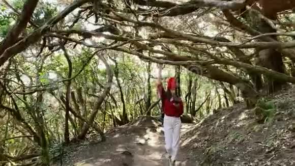 女人在雨林里旅行视频的预览图