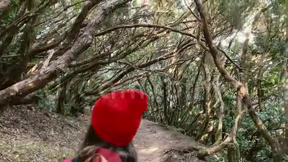 女人在雨林里徒步旅行视频的预览图