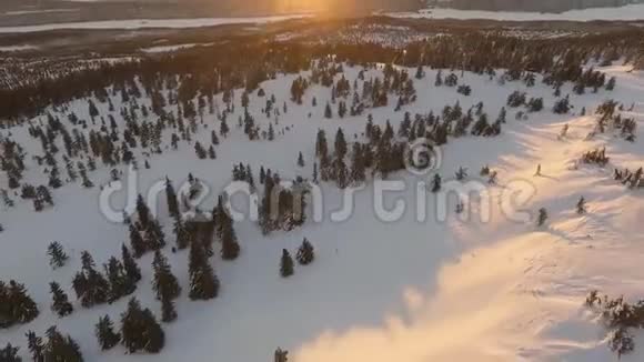 雪花森林上空的空中飞象视频的预览图