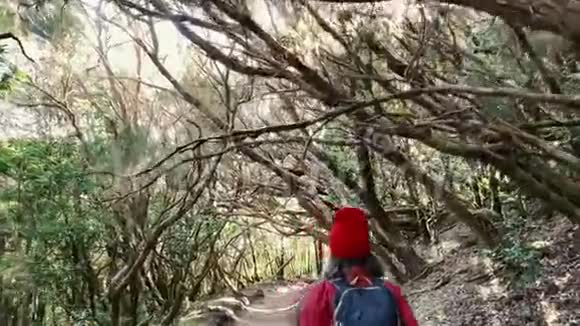 女人在雨林里徒步旅行视频的预览图