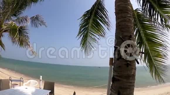 椰子树和海滩视频的预览图