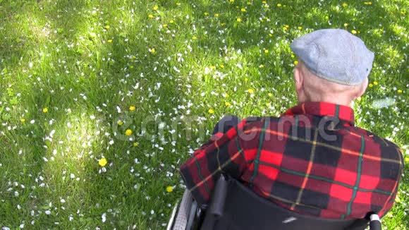 坐轮椅的老人视频的预览图