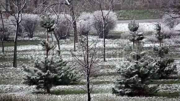 基辅三月下雪视频的预览图