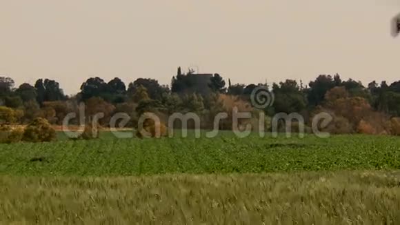 飞机黄色农用飞机带音响的农作物喷粉机视频的预览图