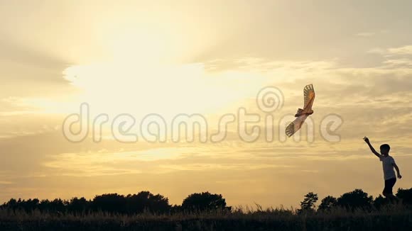 日落时分一个男孩带着风筝在田野上奔跑的剪影视频的预览图