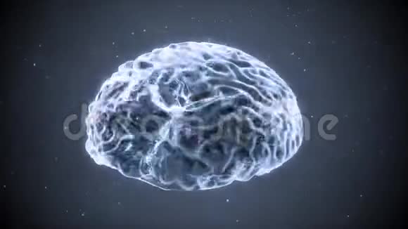 有电脉冲的大脑视频的预览图