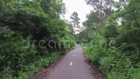 森林里的自行车道视频的预览图