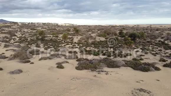马斯帕洛马斯的沙丘视频的预览图
