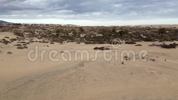 马斯帕洛马斯的沙丘视频的预览图