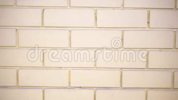砖墙为白色视频的预览图