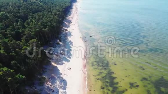 海景海岸和海滩视频的预览图