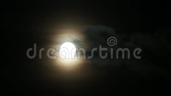 夜月幻想视频的预览图