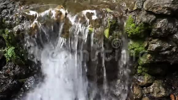 一条小河的瀑布视频的预览图