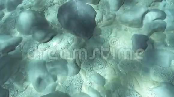 水下轻岩视频的预览图