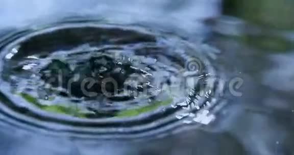 雨滴落入水中视频的预览图