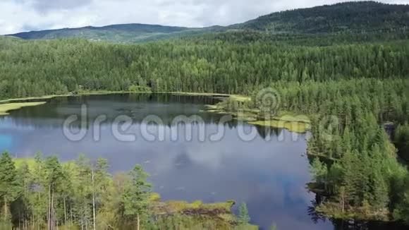 令人惊叹的湖泊和森林周围2019挪威圣母视频的预览图