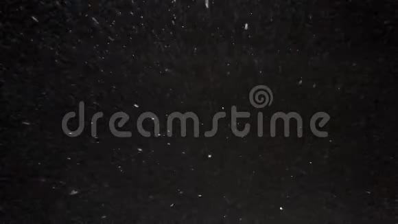 雪在夜里飞在天空视频的预览图