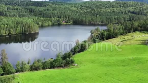 挪威自然湖和周围的森林2019湖畔红房子休息处视频的预览图