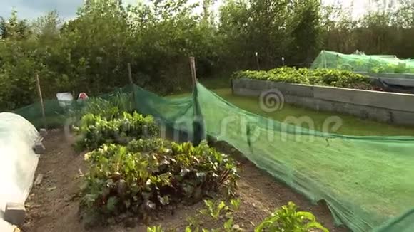 院子里的花园床视频的预览图