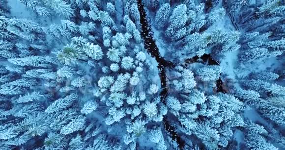 覆盖着雪的树木的美丽空中镜头和冬季景观的鸟瞰图视频的预览图