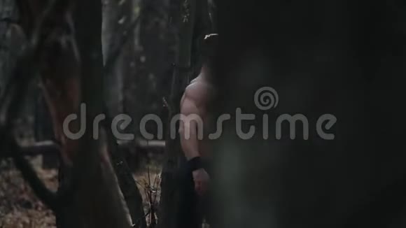 一个人在森林里砍树视频的预览图