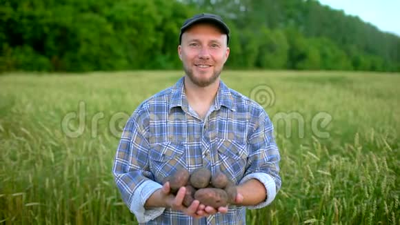 农民手捧马铃薯生物制品的肖像概念农民市场有机农业农场视频的预览图