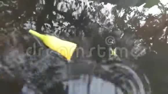 黄色花中的Woter效应视频的预览图