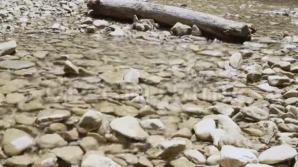 小溪里的卵石视频的预览图