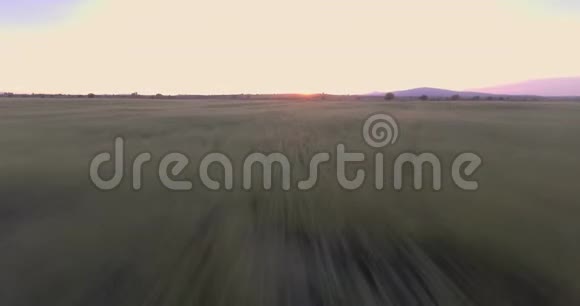 麦田的快速日落景色视频的预览图