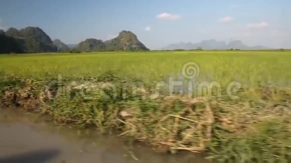 稻田的景观视频的预览图