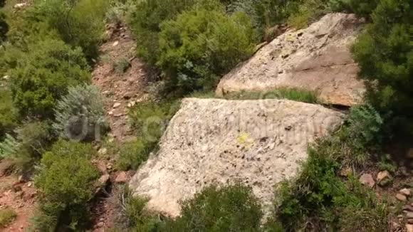 岩石和灌木细节视频的预览图