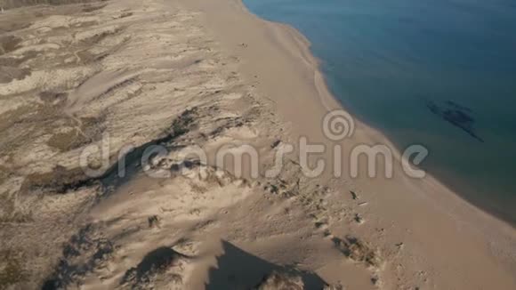 有沙丘的野生海滩视频的预览图