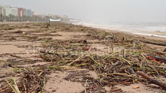 暴风雨后海滩上的垃圾视频的预览图