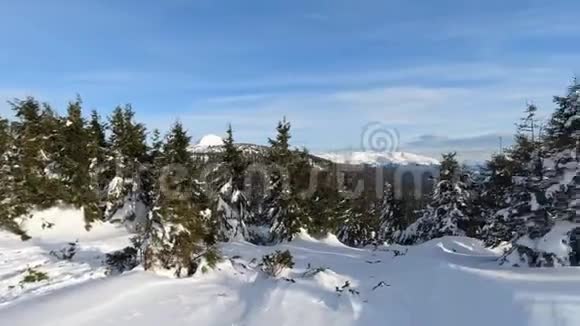 冬季景观潘视频的预览图