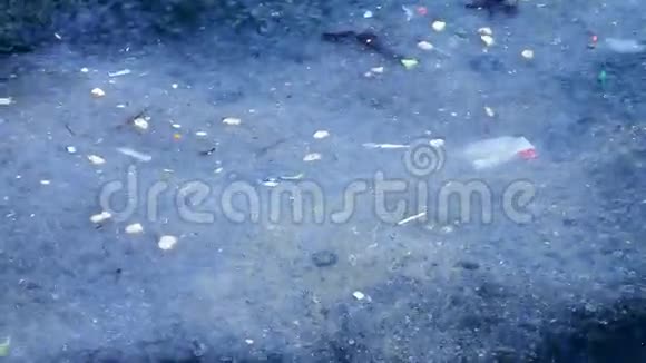 水和海洋污染视频的预览图
