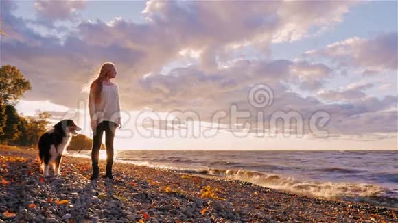 年轻的女人带着一只狗站在湖边或海边夕阳西下望着远方做梦视频的预览图