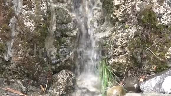 水落在院子里的石头上视频的预览图
