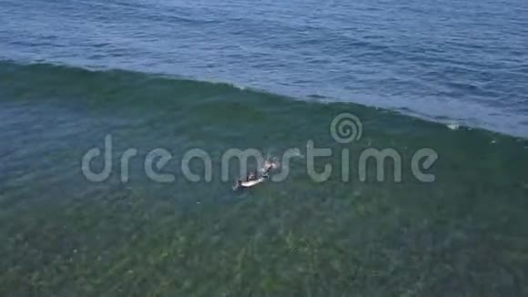从海面上的冲浪者的视野视频的预览图