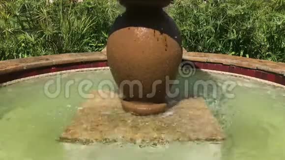 四K30英尺长的木瓜环绕喷泉视频的预览图