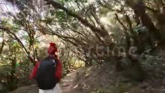 在雨林里奔跑的女人视频的预览图