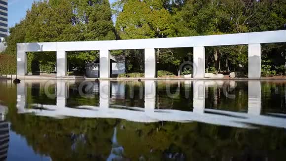 在东京的池塘里休息的鸭子视频的预览图