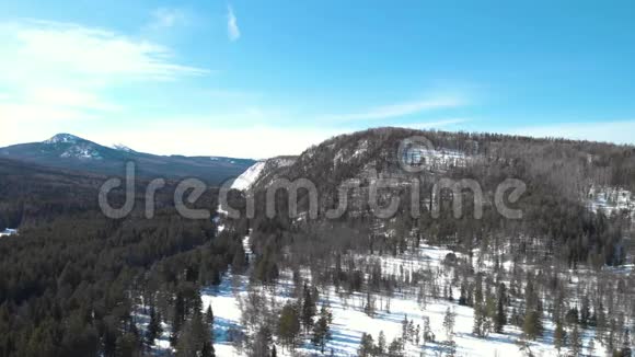 冬季森林丘陵视频的预览图