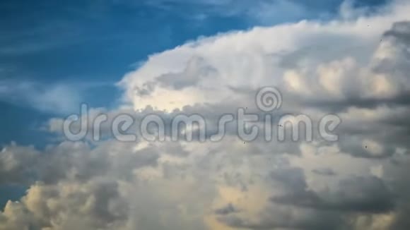 真正的云天视频的预览图