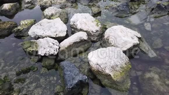 海岸上的岩石和水坑视频的预览图