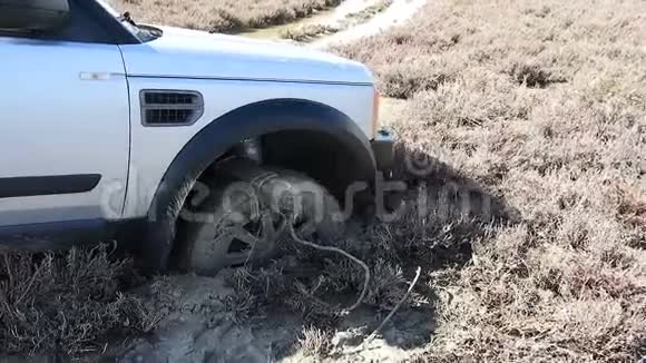 苏夫被困在泥里了视频的预览图