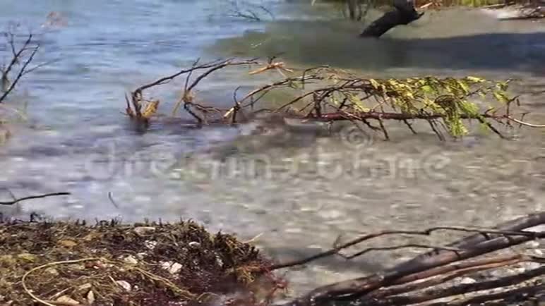 大湖鹅卵石海滩上的急流视频的预览图