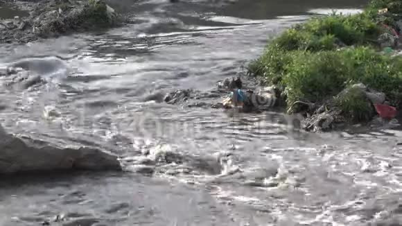 污染的河水视频的预览图